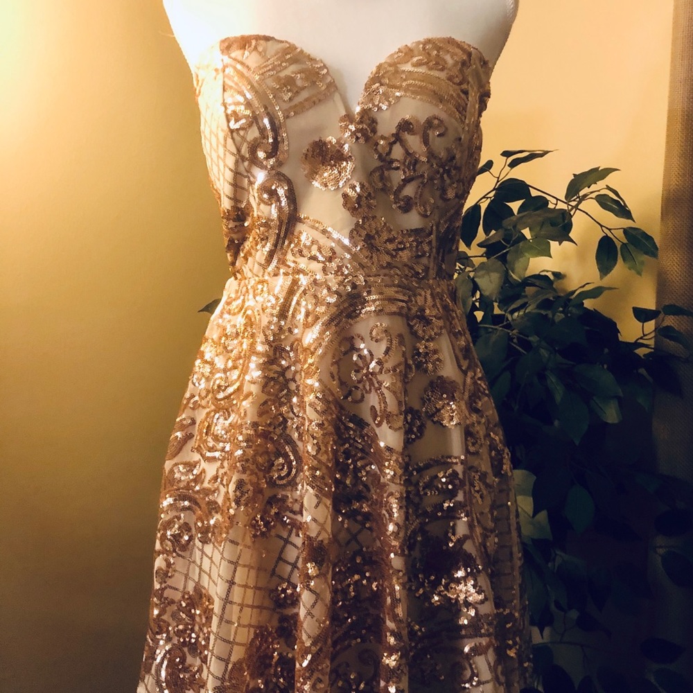 Beautiful Gold and Nude/Beige Sequin Dress